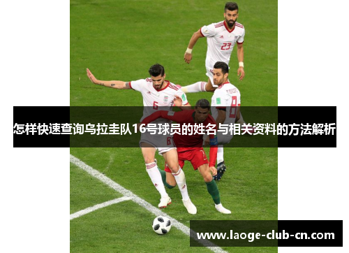怎样快速查询乌拉圭队16号球员的姓名与相关资料的方法解析 怎样快速查询乌拉圭队16号球员的姓名与相关资料的方法解析