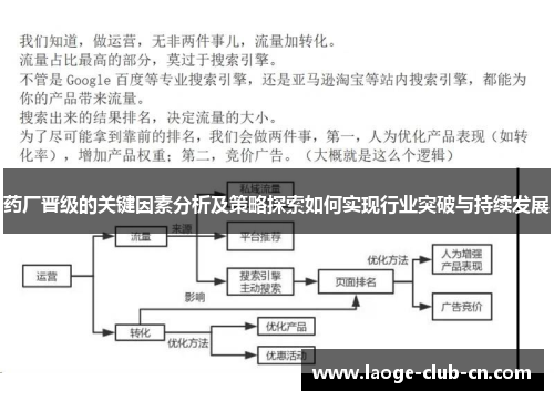 药厂晋级的关键因素分析及策略探索如何实现行业突破与持续发展 药厂晋级的关键因素分析及策略探索如何实现行业突破与持续发展