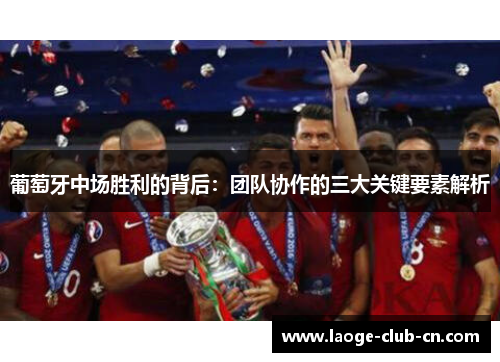 葡萄牙中场胜利的背后：团队协作的三大关键要素解析