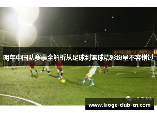 明年中国队赛事全解析从足球到篮球精彩纷呈不容错过 明年中国队赛事全解析从足球到篮球精彩纷呈不容错过