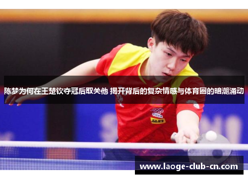 陈梦为何在王楚钦夺冠后取关他 揭开背后的复杂情感与体育圈的暗潮涌动 陈梦为何在王楚钦夺冠后取关他 揭开背后的复杂情感与体育圈的暗潮涌动